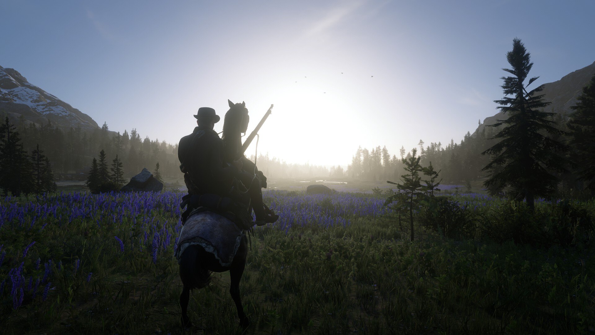 Обкладинка гри «Red Dead Redemption 2»